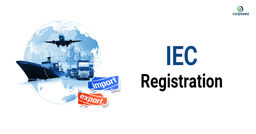 Import Export Related Registrations